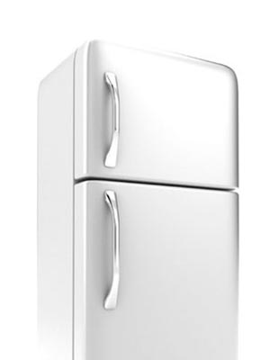 Ремонт холодильников на дому в Раменском